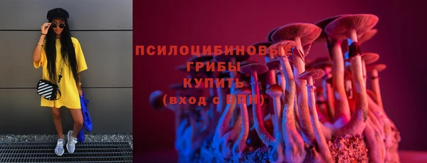 мяу мяу мука Снежногорск